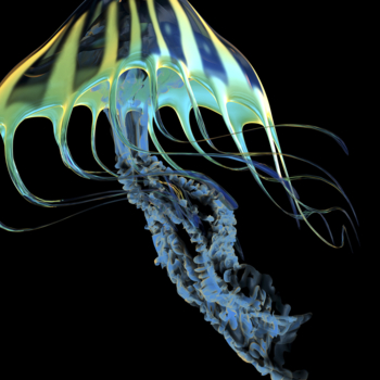 A bioluminescent Jellyfish